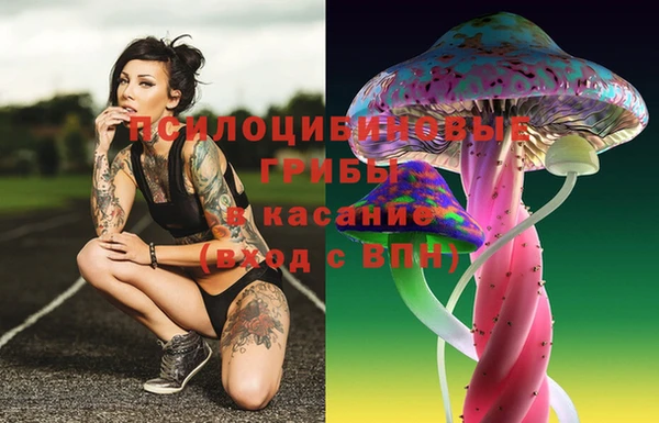 гидропоника Красноперекопск