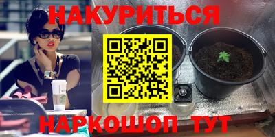 2c-b Кимры